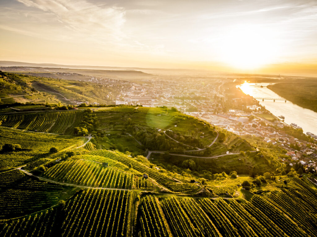 Die Sonne senkt sich über dem Kremstal und beleuchtet wunderschön die Donau zur Abendstunde