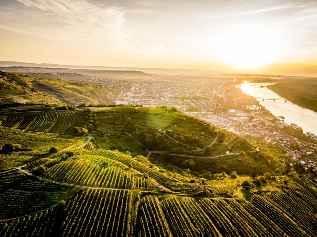 Facebook-Beitrag: Faszination Riesling: eindrucksvoller Rebsorten-Charakter aus dem Kremstal. Neben unserem Grünen… — Weingut Zöhrer