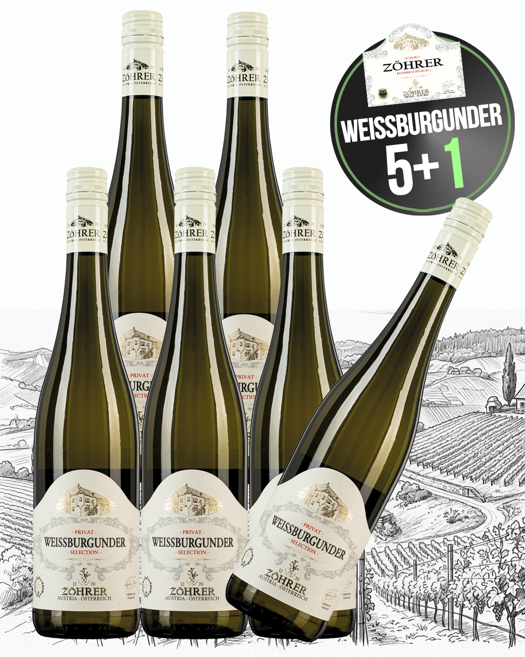 Weissburgunder 5+1