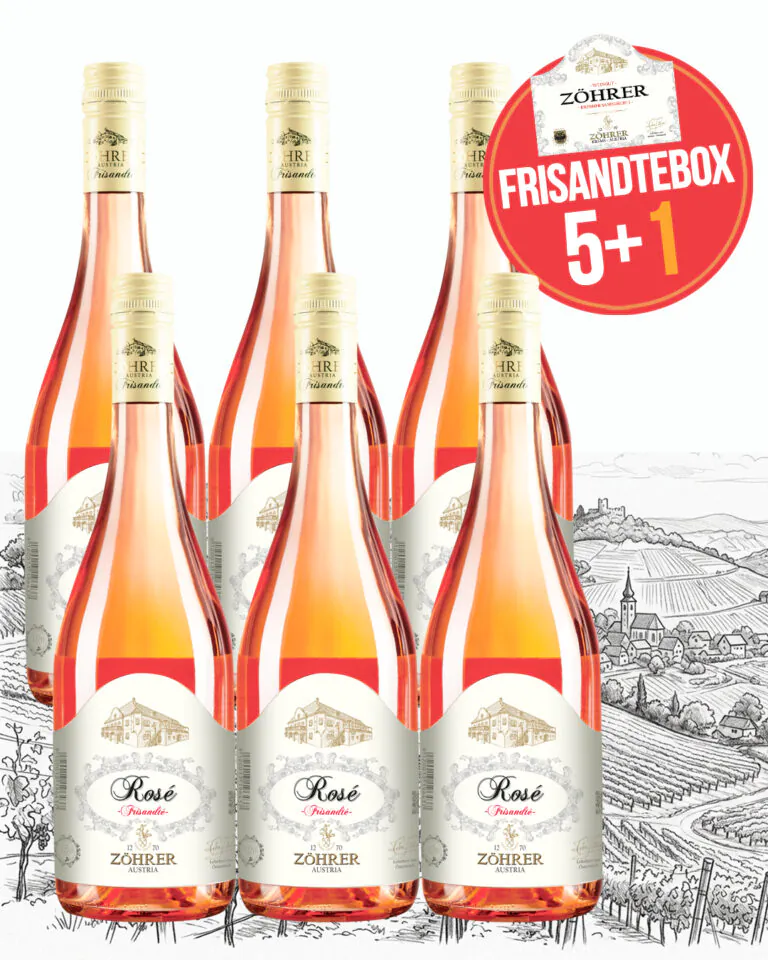 FrisandteBOX 5+1